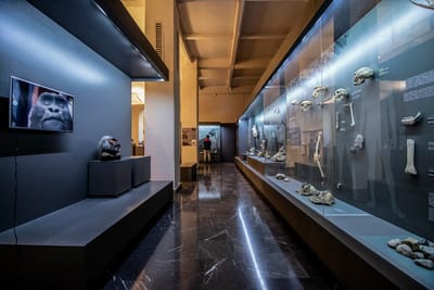 Georgian National Museum on Rustaveli Avenue