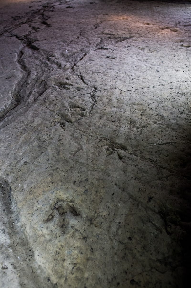 Interior of Sataplia Cave in the Imereti reserve — 3